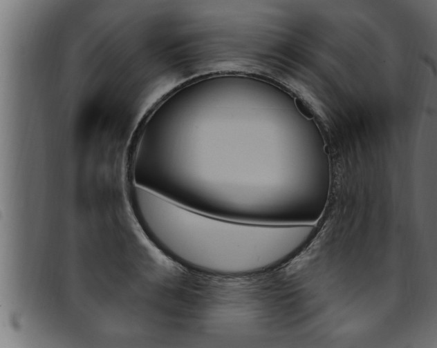 X0000094920991200711291018