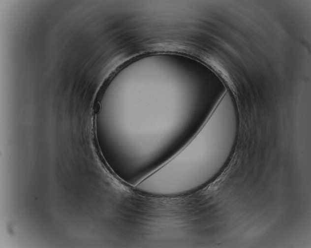 X0000094920992200711291018