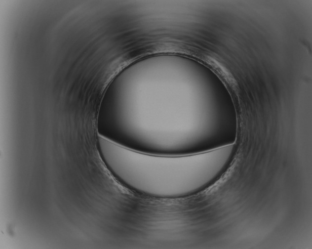 X0000094920993200711291018