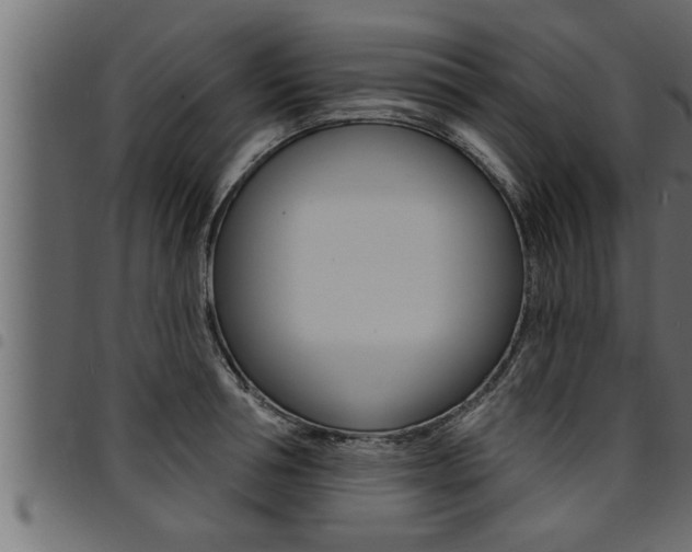 X0000094920994200711291018