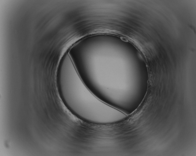 X0000094920995200711291018