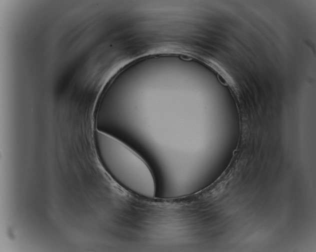 X0000094920996200711291018