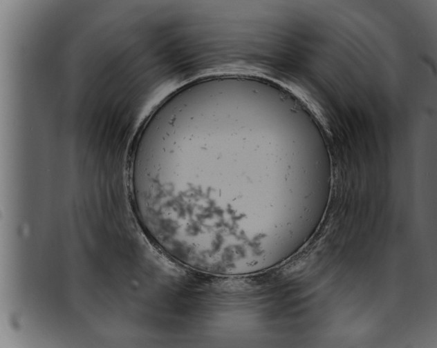 X0000094920998200711291018