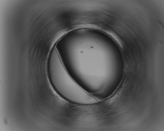 X0000094920999200711291018