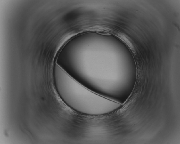 X0000094921000200711291018