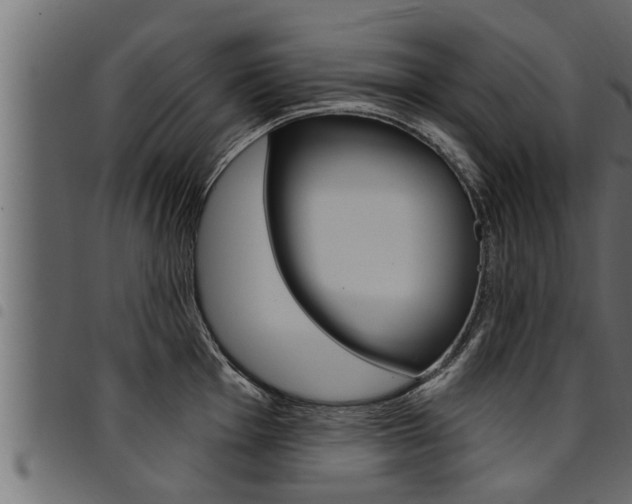 X0000094921001200711291018