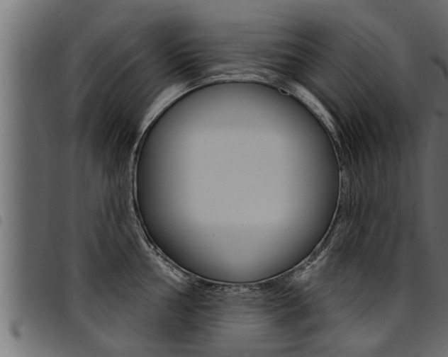 X0000094921002200711291018