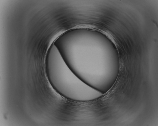 X0000094921003200711291018