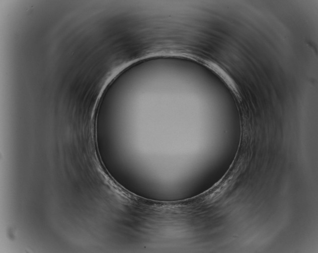X0000094921004200711291018