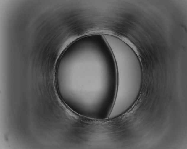 X0000094921005200711291018