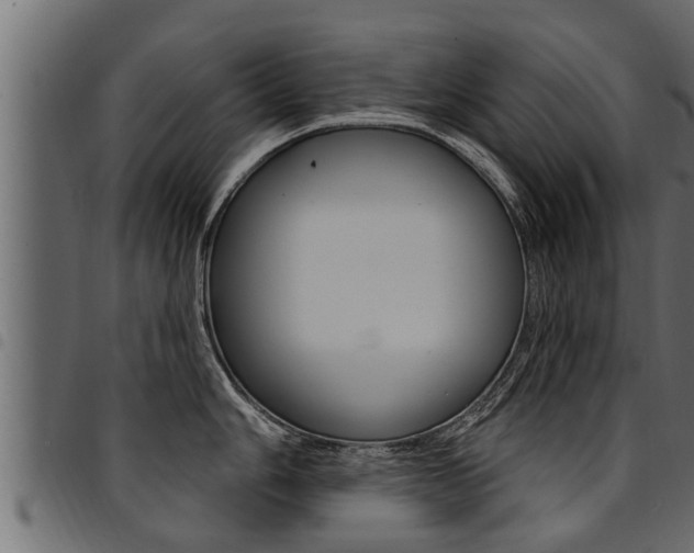 X0000094921006200711291018