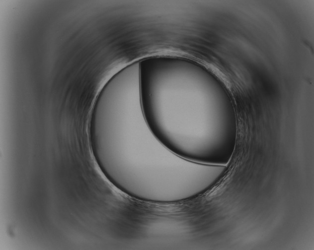 X0000094921007200711291018