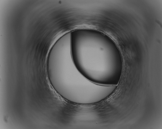 X0000094921008200711291018