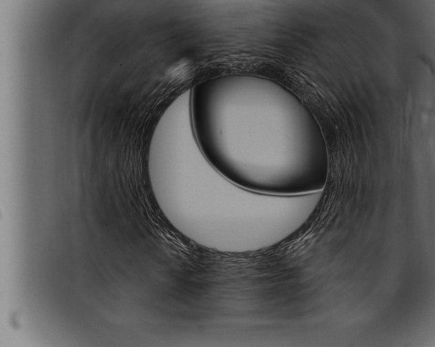 X0000094921010200711291017