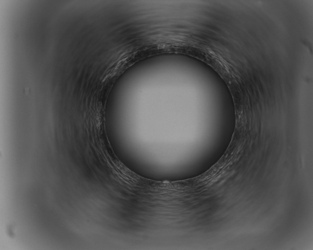 X0000094921012200711291017