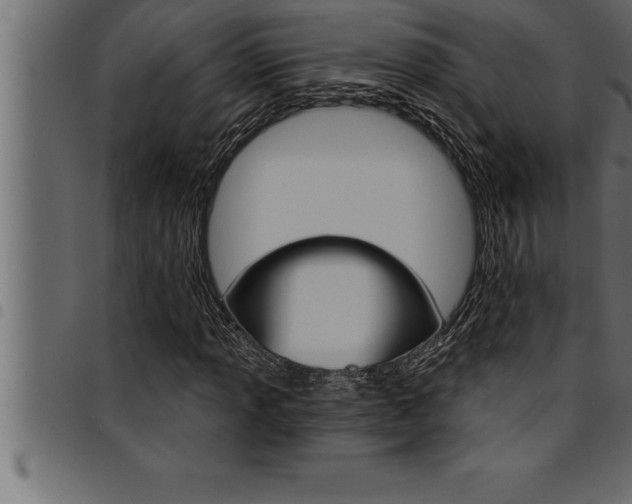 X0000094921013200711291017