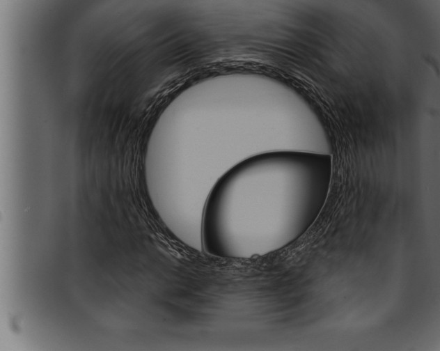 X0000094921014200711291017