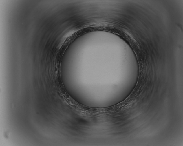 X0000094921016200711291017