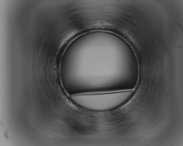 X0000094921018200711291017
