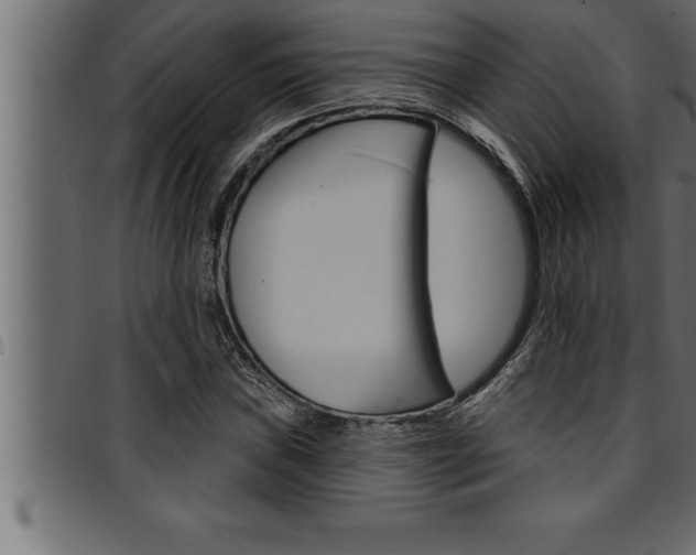 X0000094921019200711291017