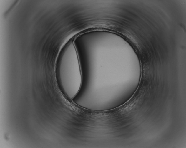 X0000094921020200711291017