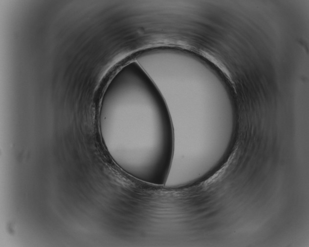 X0000094921021200711291017
