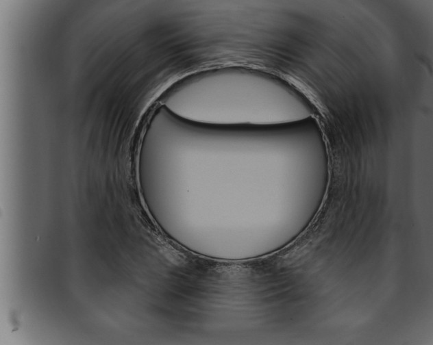 X0000094921023200711291018