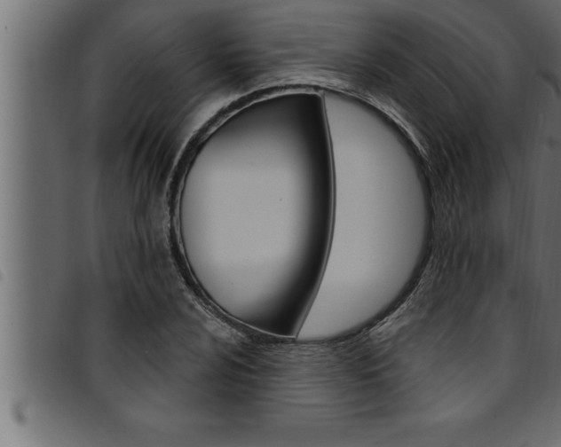 X0000094921024200711291018