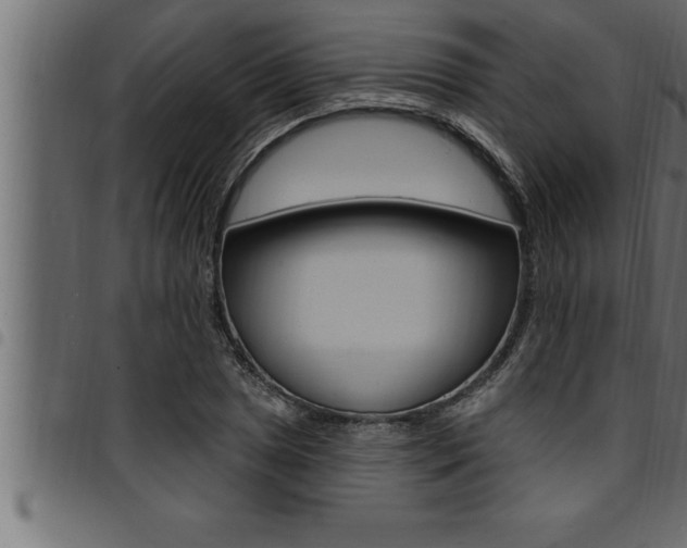 X0000094921025200711291018