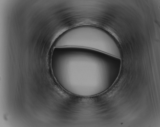 X0000094921026200711291018