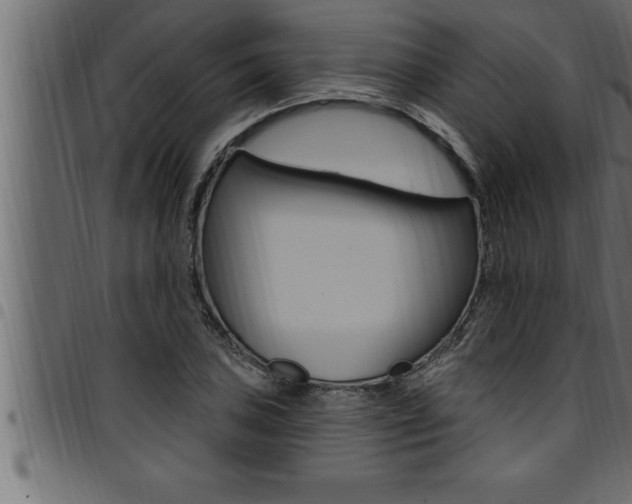 X0000094921027200711291018