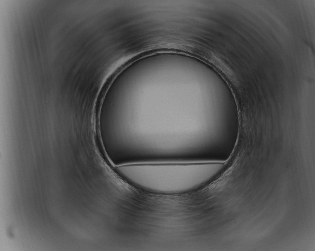 X0000094921028200711291018