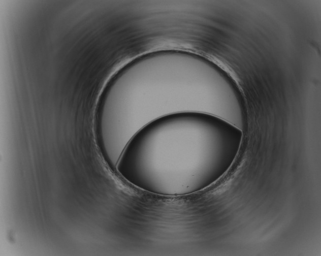 X0000094921029200711291018