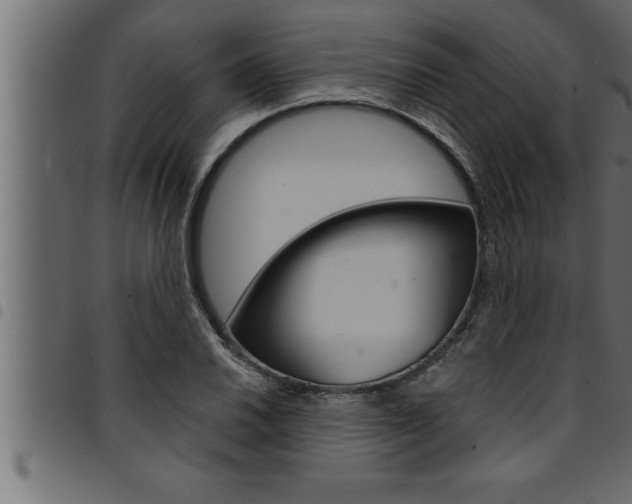 X0000094921030200711291018