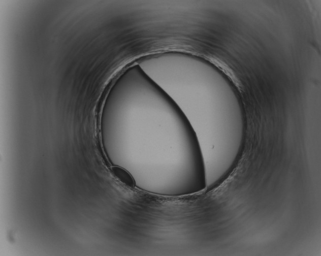 X0000094921031200711291018