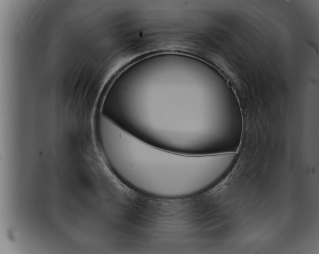 X0000094921032200711291018