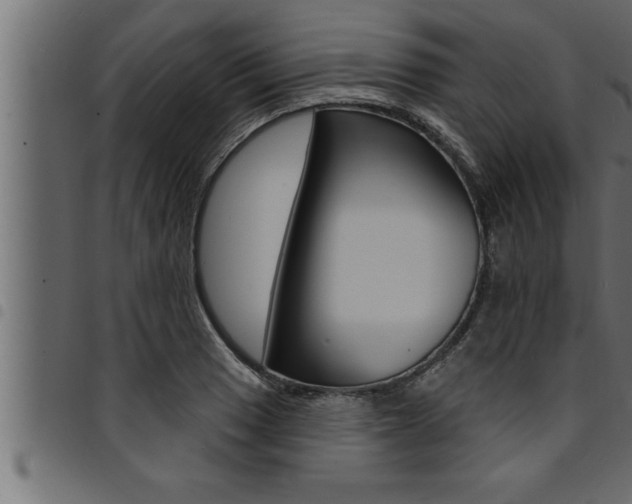 X0000094921033200711291018