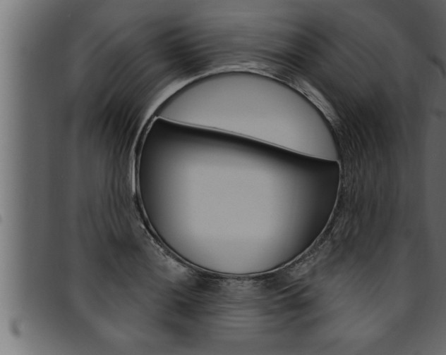 X0000094921036200711291018