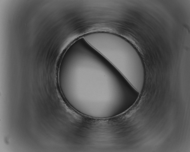 X0000094921038200711291018
