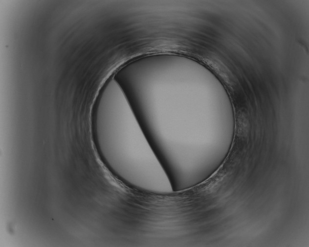 X0000094921039200711291018