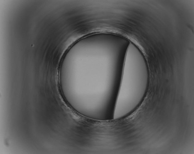 X0000094921040200711291018