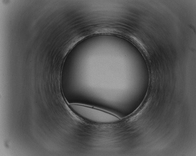 X0000094921041200711291018