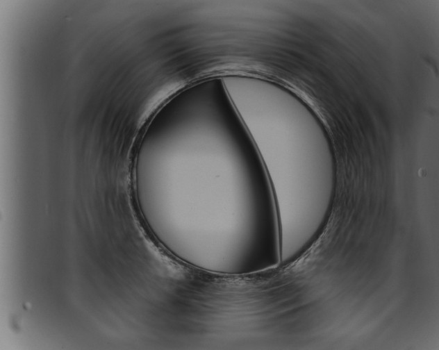 X0000094921042200711291018