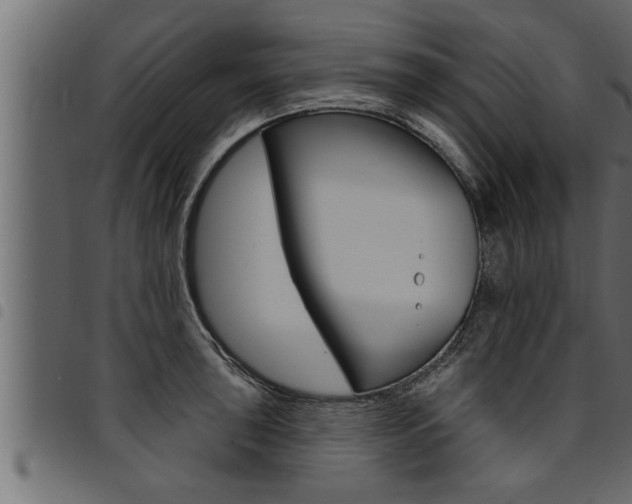 X0000094921043200711291018