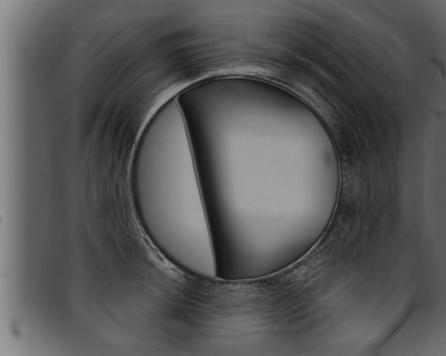 X0000094921044200711291018