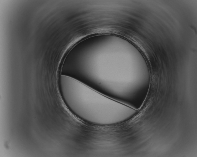 X0000094921045200711291018