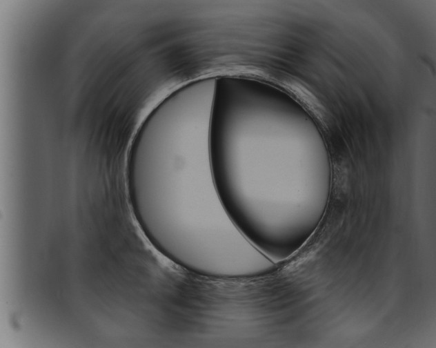 X0000094921046200711291018