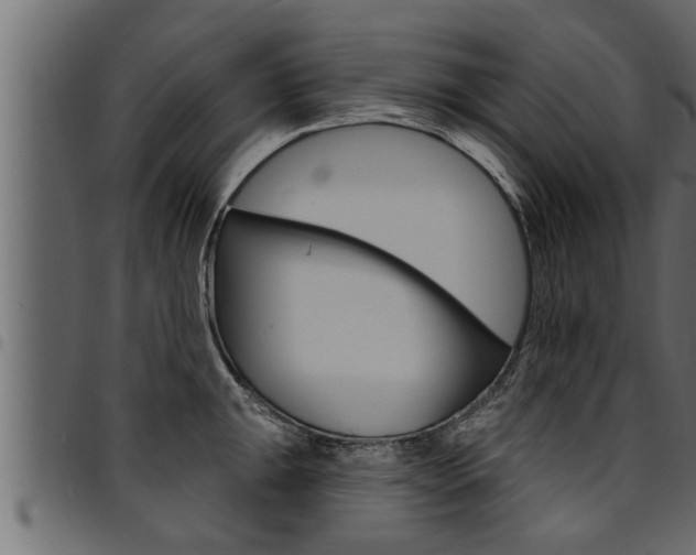X0000094921047200711291018