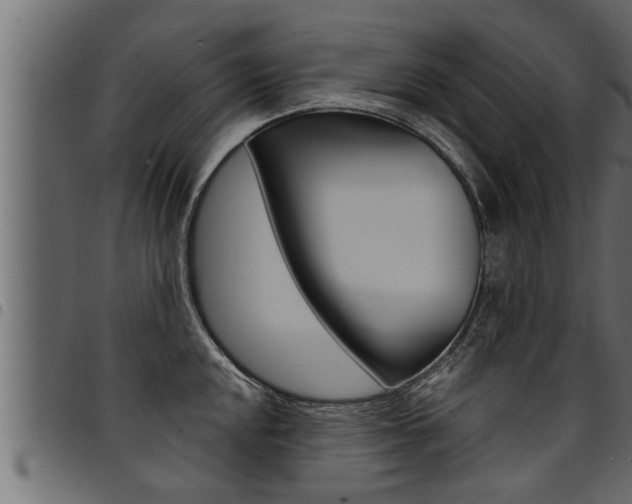 X0000094921048200711291018