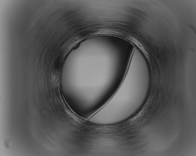 X0000094921049200711291018